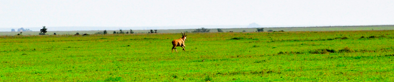 Melanie Heinrich Travel Images Africa